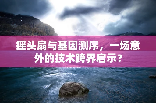 摇头扇与基因测序，一场意外的技术跨界启示？