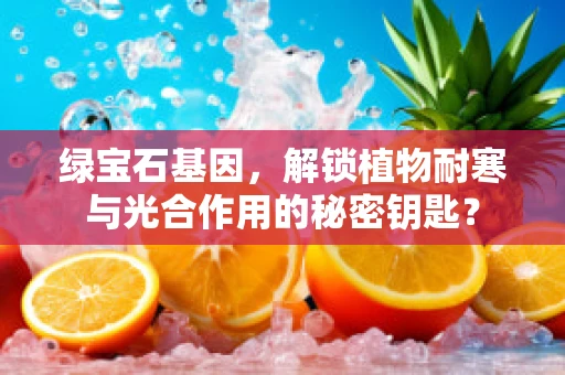 绿宝石基因，解锁植物耐寒与光合作用的秘密钥匙？