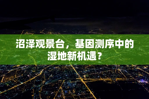 沼泽观景台，基因测序中的湿地新机遇？