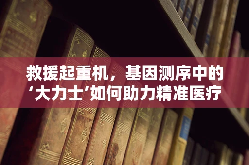 救援起重机，基因测序中的‘大力士’如何助力精准医疗？