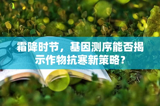 霜降时节，基因测序能否揭示作物抗寒新策略？