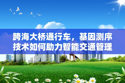 跨海大桥通行车，基因测序技术如何助力智能交通管理？