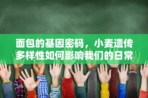 面包的基因密码，小麦遗传多样性如何影响我们的日常面包？