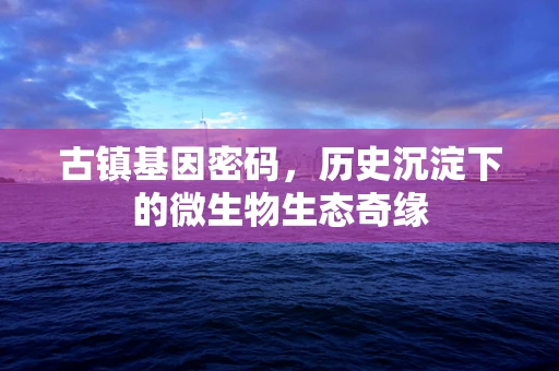 古镇基因密码，历史沉淀下的微生物生态奇缘