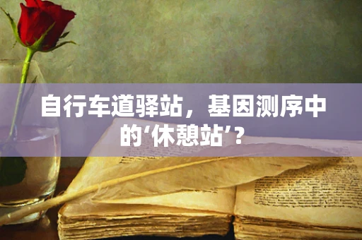 自行车道驿站，基因测序中的‘休憩站’？