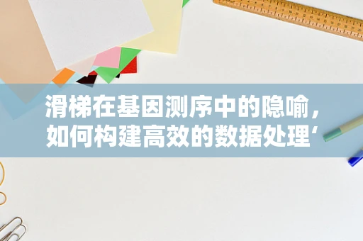 滑梯在基因测序中的隐喻，如何构建高效的数据处理‘滑梯’？