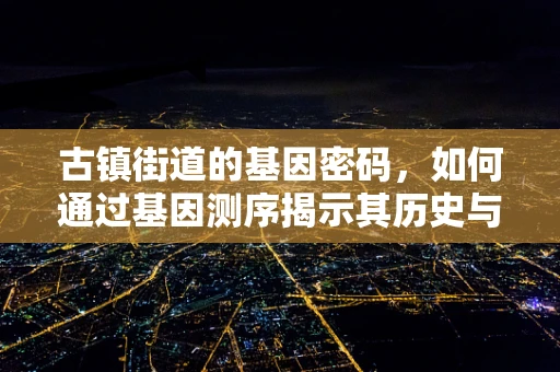 古镇街道的基因密码，如何通过基因测序揭示其历史与文化的遗传？