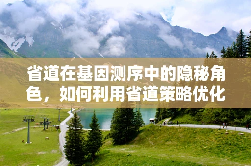 省道在基因测序中的隐秘角色，如何利用省道策略优化测序成本与效率？