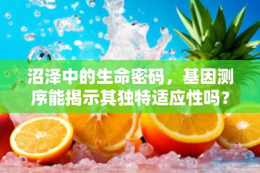 沼泽中的生命密码，基因测序能揭示其独特适应性吗？