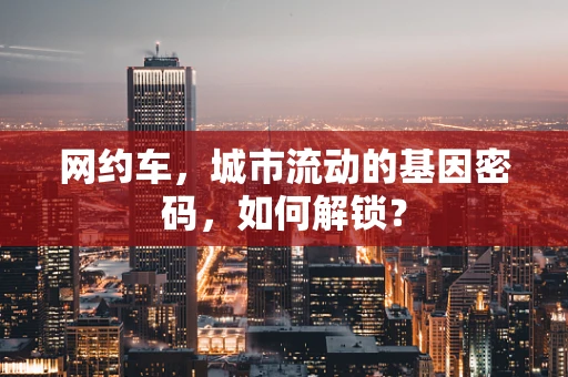 网约车，城市流动的基因密码，如何解锁？