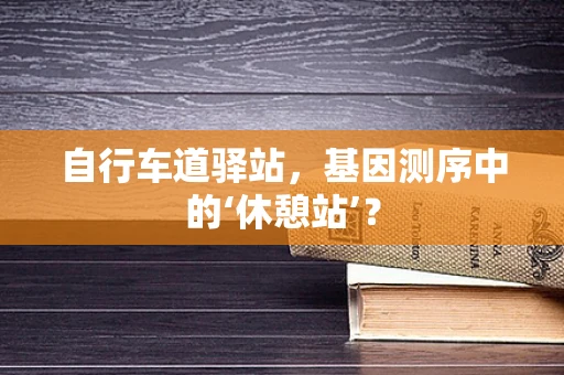 自行车道驿站，基因测序中的‘休憩站’？