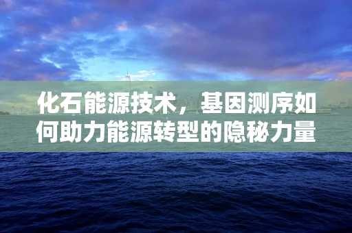 化石能源技术，基因测序如何助力能源转型的隐秘力量？